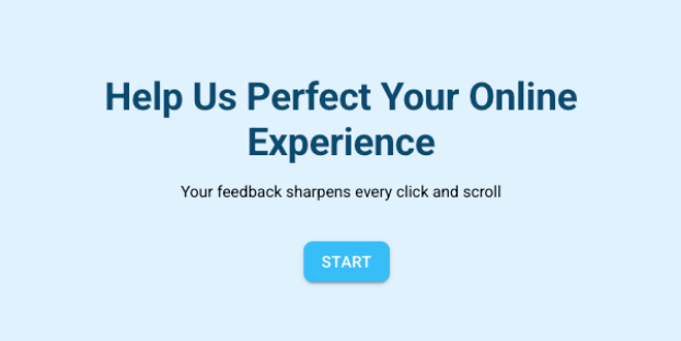 Website Satisfaction V2