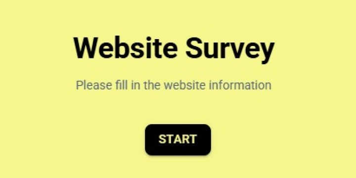 Website Survey