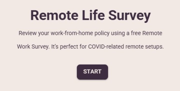 Remote Work Survey