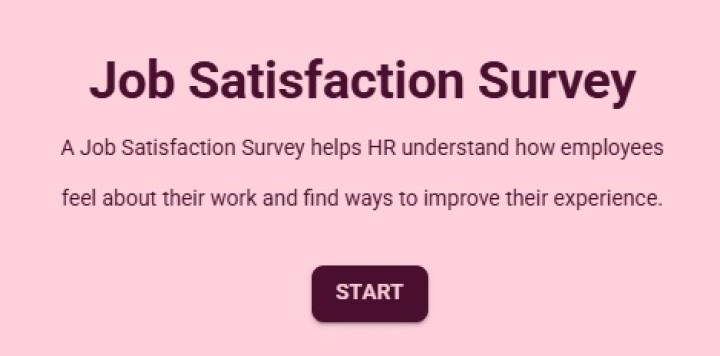Job Satisfaction Survey